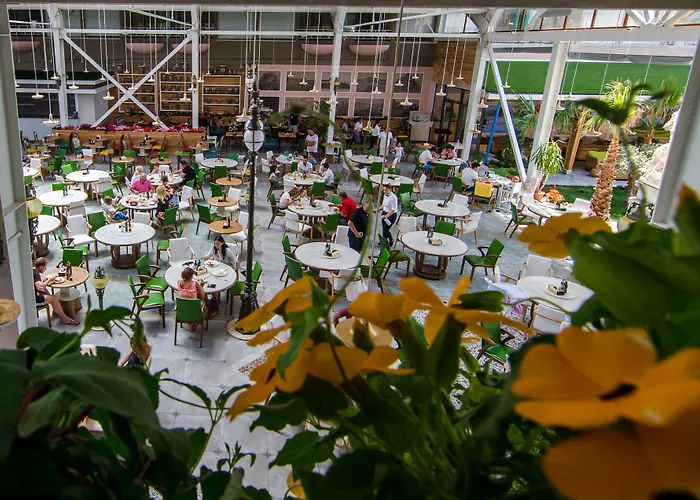 Phoenicia Royal 5* Navodari