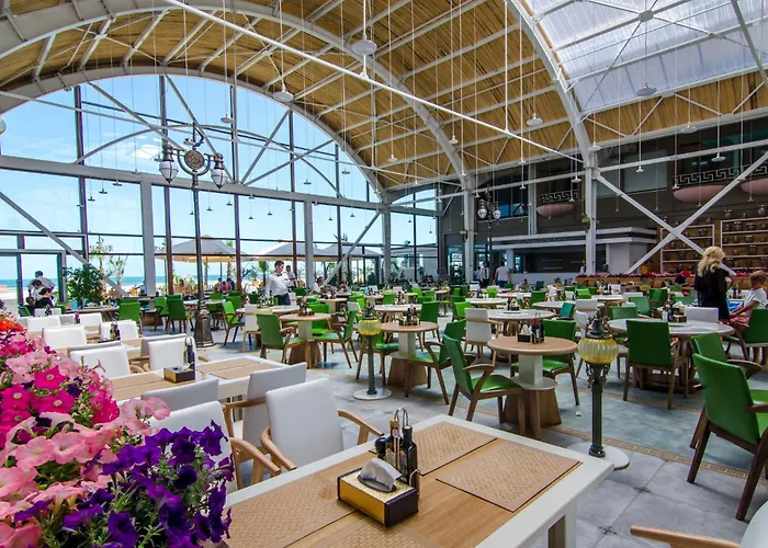 Phoenicia Royal 5* Navodari